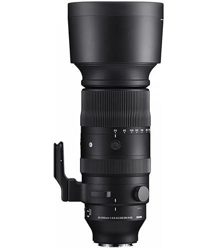 【ポットさま専用】SIGMA 150-600mm F5-6.3 DG＋ドッグ Sigma 150-600mm f5-6.3 DG DN OS review | Cameralabs