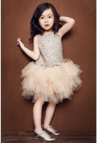 WeeH Girl Dress Kids Ruffles Lace Tutu Dresses Wedding Party Bridesmaid Princess