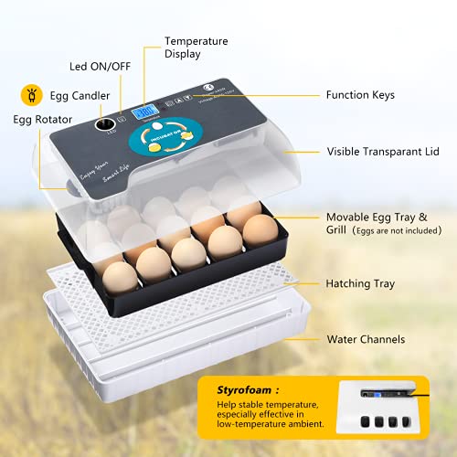 Apdoe Egg Incubator Clear View, Automatic Egg Turner, Temperature