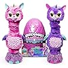 hatchimals וואו