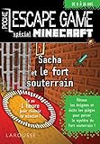 Sacha et le fort souterrain : Spécial Minecraft by 