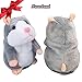 Talking Pet Hamster Electronic Animal Plush Toy - Mimics and Repeats After Words & Sounds for Kids Ages 4 - 100, Boys and Girls, Birthdays, Christmas by Neverland(Grey) (gara)