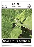 Sow Right Seeds - Catnip Seed for Planting - Popular Herb Will Make Your Cat Happy - 500 Non-GMO Heirloom Seeds - Full Packet Instructions for Easy Growing - Great Gardening Gift