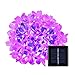 ANNT Christmas Light, String Lights, Outdoor Lights, Indoor Lights, Solar Decorative Lights (Purple)