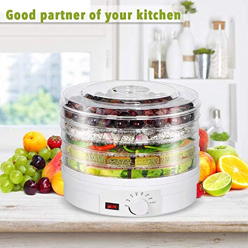 Food Dehydrator,5 Trays Fruit Vegetable Nuts Dryer, Temperature Preset Food Preserver for Fruits,Vegetable,Beef Jerky Maker - Thumbnail 7