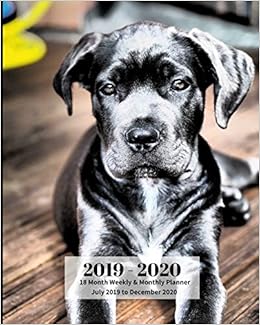 2019 2020 18 Month Weekly Monthly Planner July 2019 To