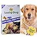 Lucky Dog Treats Wheat-Free Peanut Butter and Blueberry Recipe Natural Healthy Ingredients Made in the USA 12 Ounce Box