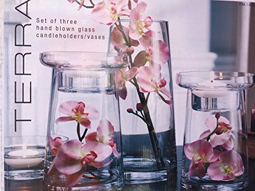 Terra Set of Three Hand Blown Glass Candleholders / Vases