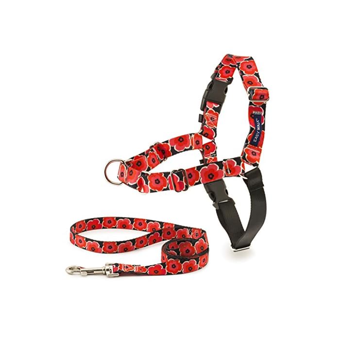 Buy PetSafe Easy Walk Chic Dog Harness, No Pull Dog Harness Perfect for Leash & Harness