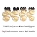 Dayrise Hair 9A Grade Ombre Human Hair Bundles Brazilian Virgin Hair Body Wave Two Tone T1b/613 Black to Blonde Hair Bundles (T1B/613 8 8 8 8)
