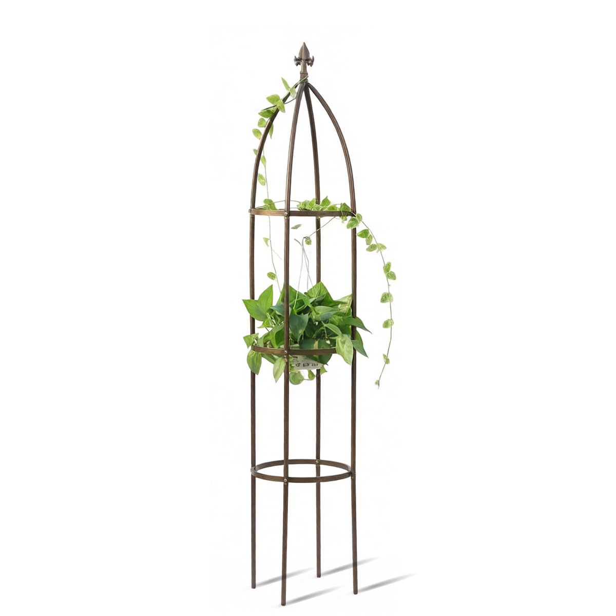 100% Metal Obelisk Garden Trellis 5.5 Feet Tall Sturdy Plant Support for Climbing Vines and Flowers Stands,1pc Upgrade (Bronze, Medium) Image