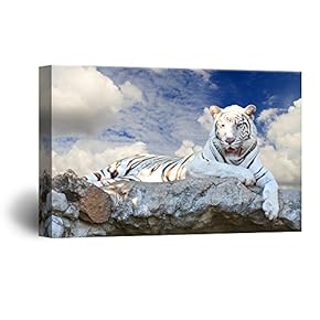 Canvas Wall Art - White Tiger Lying on The Rock - Giclee Print Gallery Wrap Modern Home Art Ready to Hang - 12x18 inches