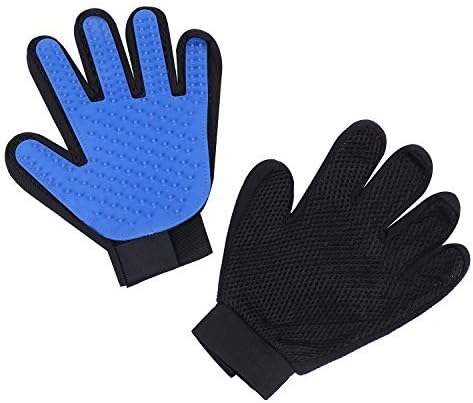 show me a picture of a cane corso