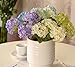12 pcs Lovely Mini Hydrangea Artificial Fake Plastic Mini Fresh Silk Flower Arrangement Home Decorative Flowers(White)