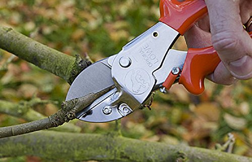 ORIGINAL Aufbrech.- und Zerwirkschere von LÖWE – Bild 5