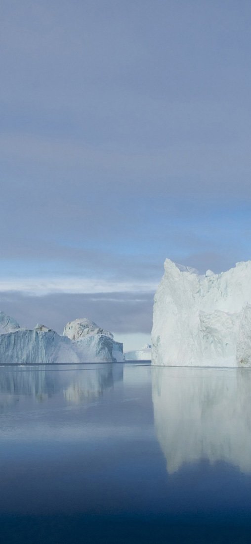 PeelitStickit, Beautiful Nature Wall Murals, ID-2909, vinyl