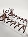 Miscly 3 Pairs Round Shoe laces for Shoes, Sneakers & Boots