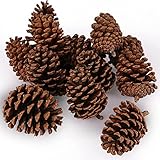 JOHOUSE 3.5-5Inch Natural Pine Cones, Large