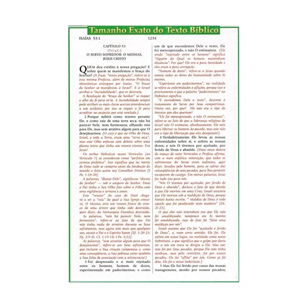 Bíblia De Estudo Do Expositor - Cor Preta