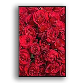 Framed Canvas Wall Art for Living Room, Bedroom Rose Closeup III Canvas Prints for Home Decoration Ready to Hang - 16x24 inches