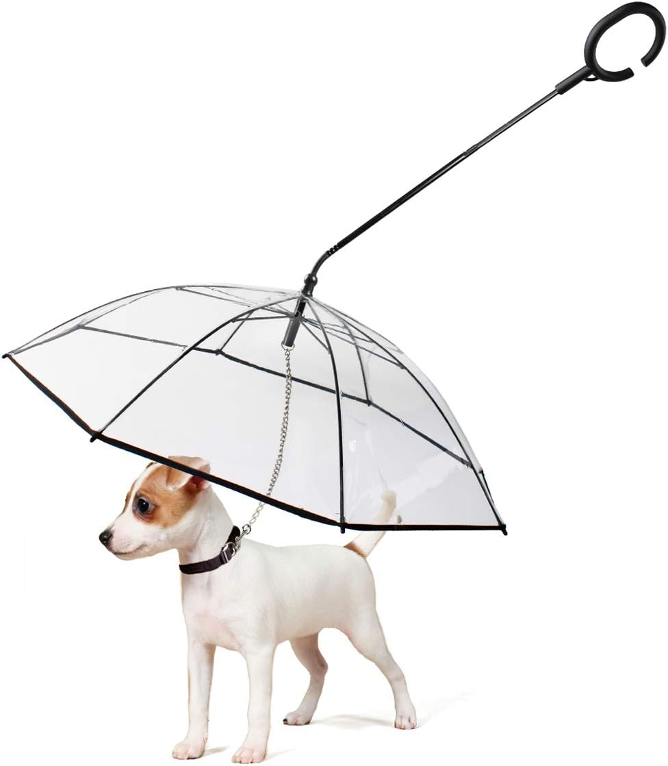 small dog umbrella