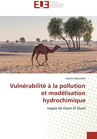 Vulnérabilité à la pollution et modélisation hydrochimique: nappe de Foum El Oued (Omn.Univ.Europ.)