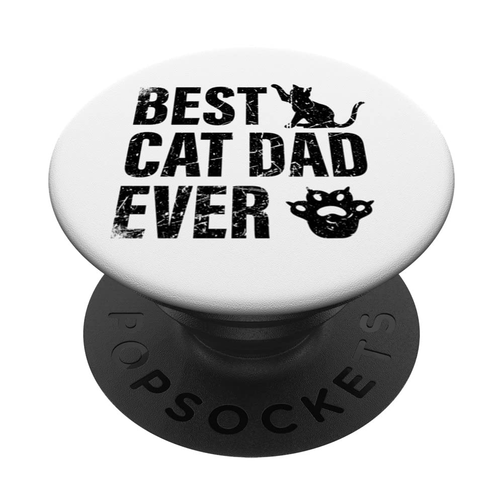 Best Cat Dad Ever For Kitten And Cat Lover - Funny Cat Daddy PopSockets Swappable PopGrip