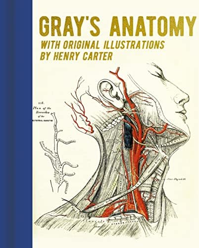 Gray's Anatomy for Students: With Student Consult Online Access