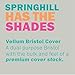 Springhill 8.5” x 11” Gray Colored Cardstock Paper, 67lb Vellum Bristol, 147gsm, 250 Sheets (1 Ream) – Premium Lightweight Cardstock, Vellum Printer Paper with Textured Finish – 066000R
