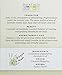 Aura Cacia - Pure Lavender Essential Oil | 0.5 fl. oz. in Box with Uses Insert