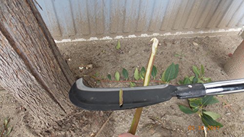 Billhook(brush Axe), Heavy Duty - Thumbnail 2