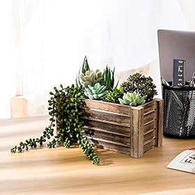 Artificial Succulents in Pots - Fake Succulent Plants, Artificial Plants for Home Decor Indoor, Faux Succulents for… 51cIF4fUFaL