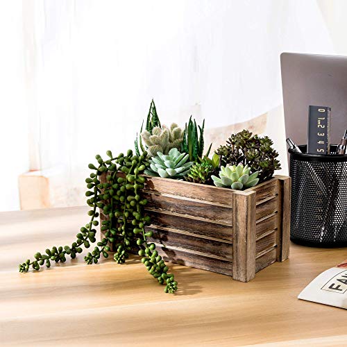 51cIF4fUFaL 51cIF4fUFaL