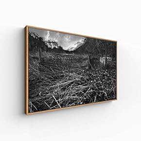 Canvas Wall Art for Living Room, Bedroom Monochrome Landscape Framed Canvas Prints for Home Decoration Ready to Hang - 16x24 inches