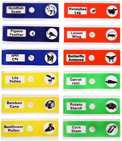 GoaPly Kids Plastic Prepared Slide Kit, 1 Box of 12 Well Labeled Slides, 12 Specimens of Animals Insects Plants with Name and Drawing, Children Student Science Education Toy