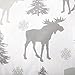 Stratton Collection Extra Soft Printed 100% Cotton Flannel Sheet Set. Warm, Cozy, Lightweight, Luxury Winter Bed Sheets. By Home Fashion Designs Brand. (Queen, Moose)