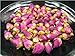 Dried Top-Grade Rose Buds Herbal Tea 400g