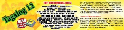Tagalog 12 Comes with song list - Featuring Artists: Moves like Jagger, Adelle, Lady Gaga, Aviril Avigne, Nicki Minaj and much more of your favorite..please find song list in description.