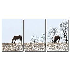 3 Piece Canvas Wall Art - Horses on Hill - Modern Home Art Stretched and Framed Ready to Hang - 16"x24"x3 Panels