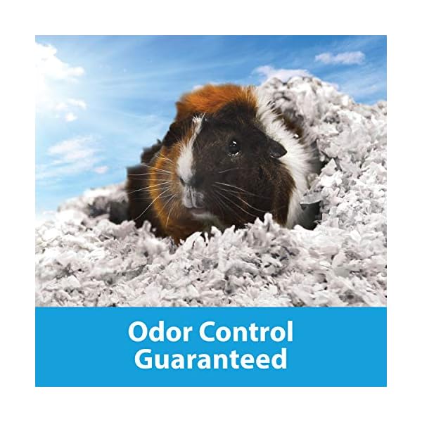 Kaytee Clean & Cozy Super Absorbent Paper Bedding for Cages, Hamster, Gerbil, Mice, Rabbit, Guinea Pig, 49.2 Litre…