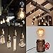 HESSION Edison Light Bulbs, A19 led 40w Vintage Antique Tungsten Filament Bulbs,E26 Base Edison Bulbs, Decorative Light Bulb Dimmable Amber Glass(6 Pack)