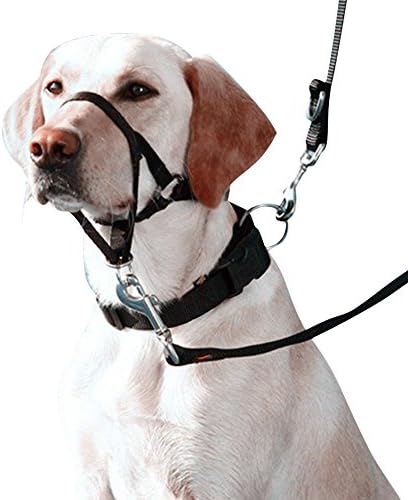Eastop Dog Head Halter Small Dog Head Halter Large Dog Head Collar Pet Training Dog Head Collar Blue Dog Head Halter No Pull Dog Head Halter Gentle Leader (Large, Black)