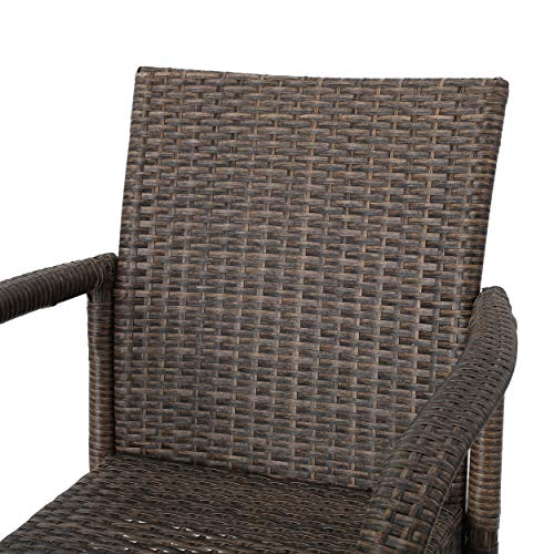 Christopher Knight Home Delfina Outdoor Wicker Barstools with Iron