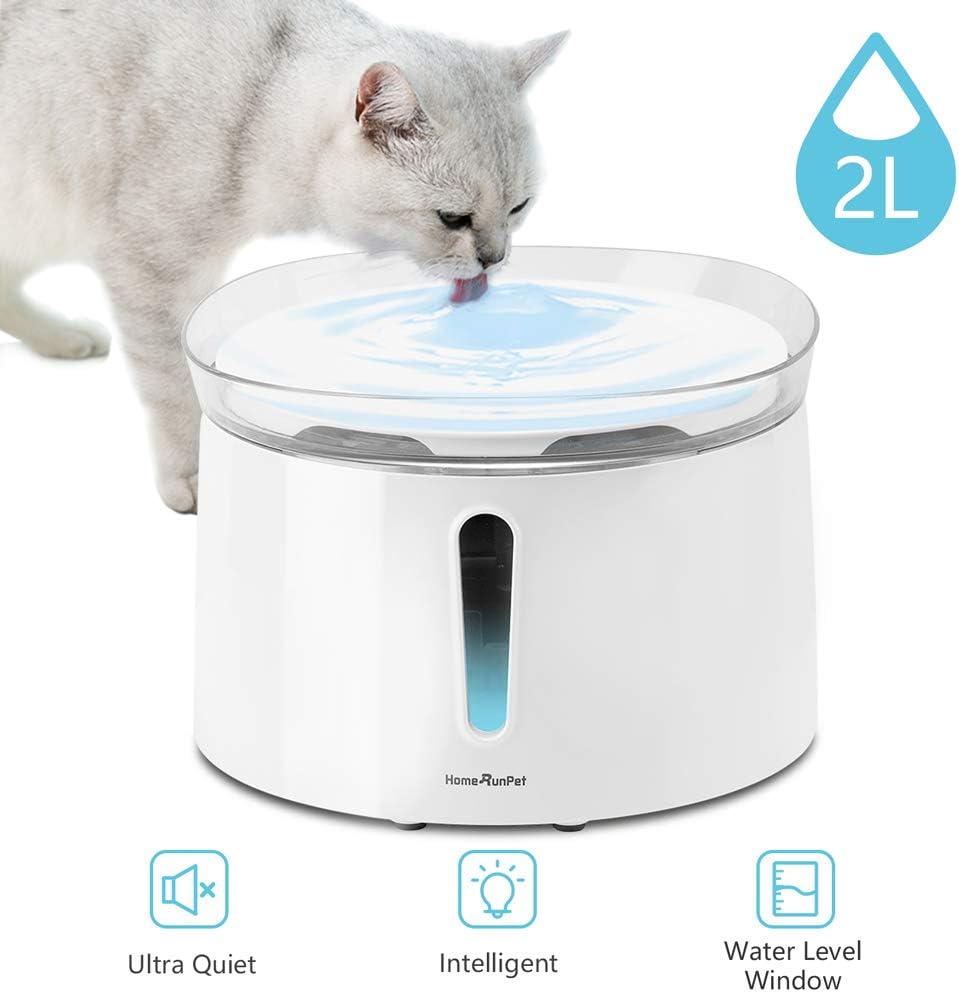 self waterer for cats