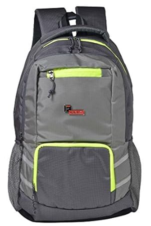 F Gear Intellect 31 Ltrs Grey Casual Backpack (2542)