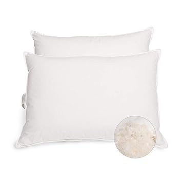 Set Of 2 Goose Feather And Down Pillows 95 Feather And 5 Down