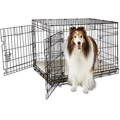 2 door folding dog crate