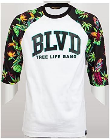 Blvd Supply Paradise Arc Raglan
