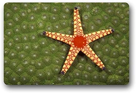 Artistic Designer from Mr Kill Designs Stylish, Decorative, Unique, Cool, Fun, Funky - Red Starfish In Green Coral Computer desk pad mat