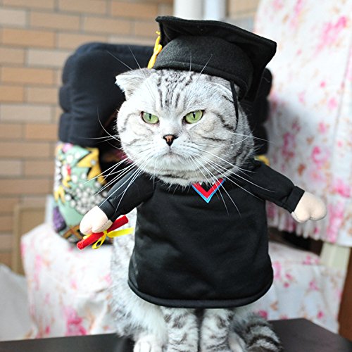Alfie Pet by Petoga Couture - Kade the Graduate for Party Halloween Special Events Costume - Image 2